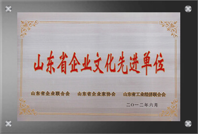 山东省狗子28先进单位